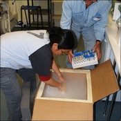 Preparing the dry ice for sample transport