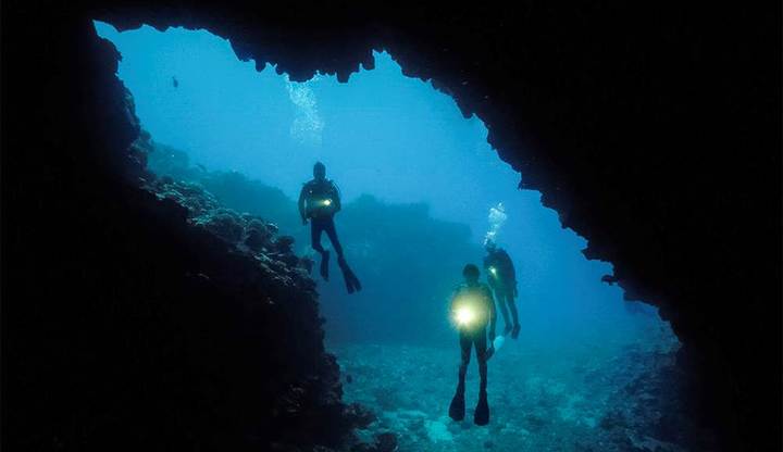 Photo By David B. Fleetham Photo By David B. Fleetham