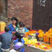 Flower seller by the palace