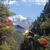 View of Everest through the trees