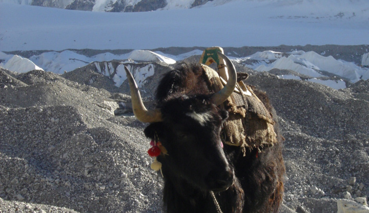 Mt Everest South Face